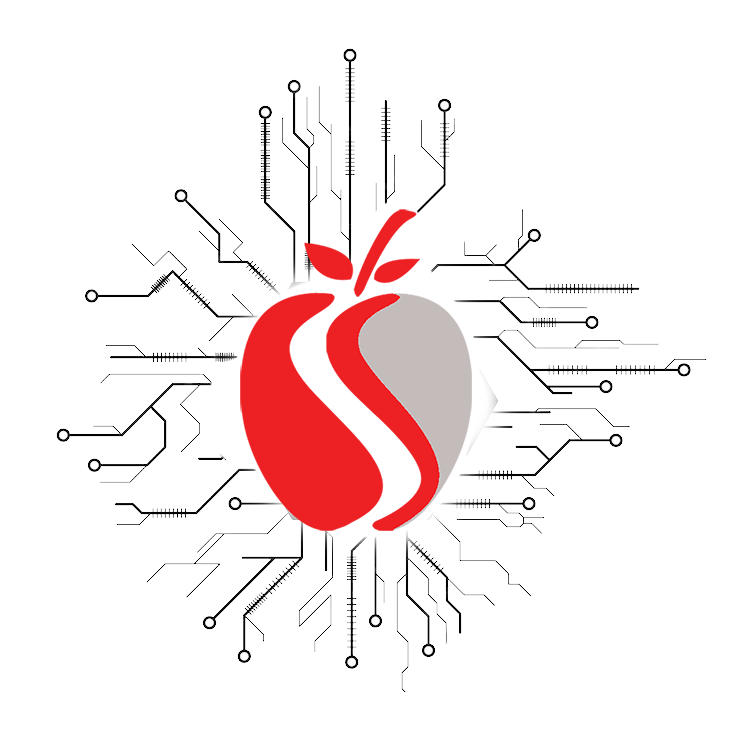 Shiva Systems Core